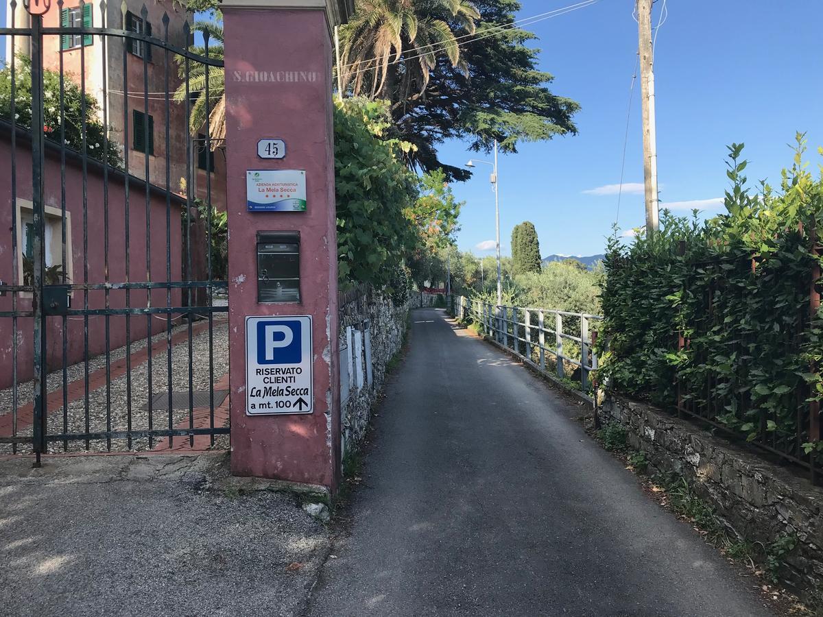 Hotel Agriturismo La Mela Secca Portofino Exterior foto